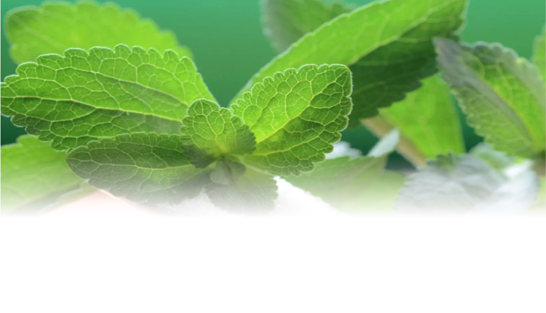 Sostenibilidad – Stevia Sustentable EverSweet
